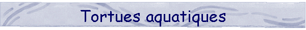 Tortues aquatiques